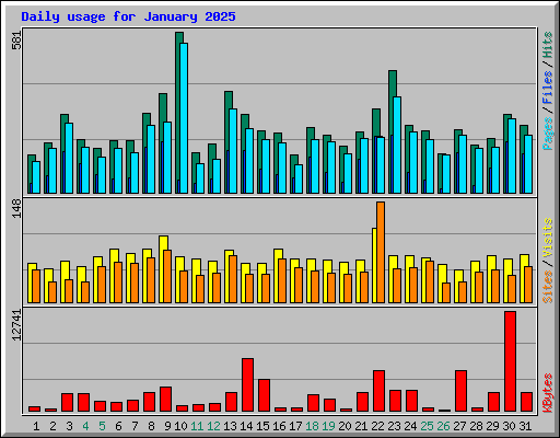 Daily usage for January 2025