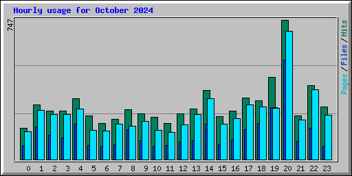 Hourly usage for October 2024