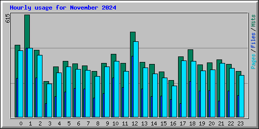 Hourly usage for November 2024
