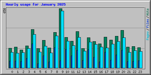Hourly usage for January 2025