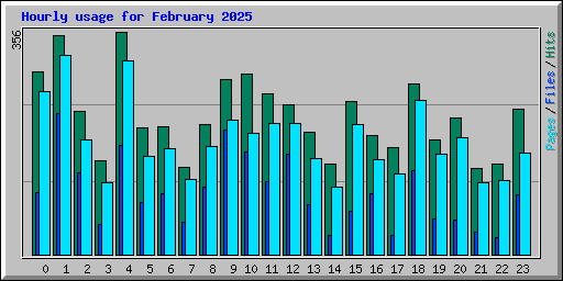 Hourly usage for February 2025
