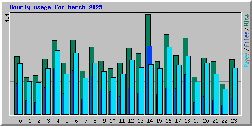 Hourly usage for March 2025