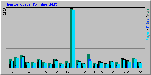 Hourly usage for May 2025