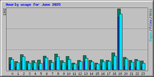 Hourly usage for June 2025