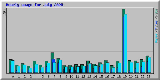 Hourly usage for July 2025