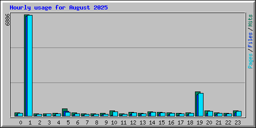 Hourly usage for August 2025