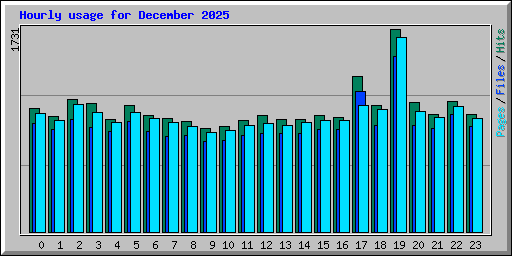 Hourly usage for December 2025