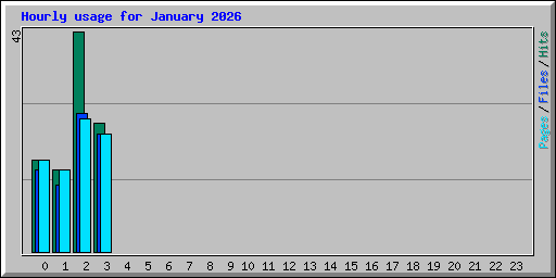 Hourly usage for January 2026
